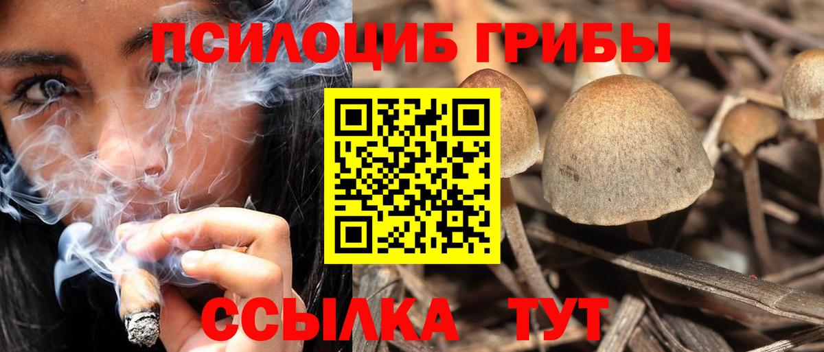 Галлюциногенные грибы ЛСД Кисловодск