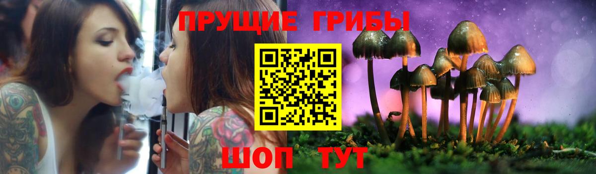 Кисловодск  Псилоцибиновые грибы Psilocybine cubensis  Вход с VPN 